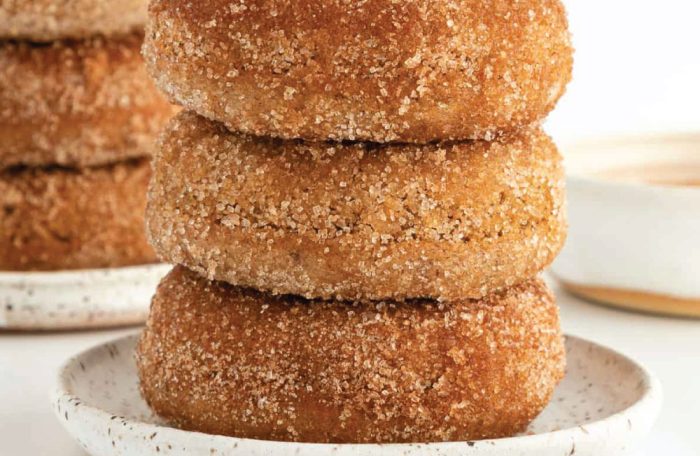 Cinnamon Sugar Doughnut