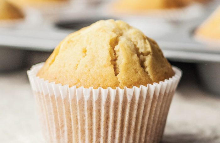 Vanilla Muffins